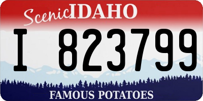 ID license plate I823799