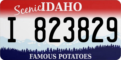 ID license plate I823829