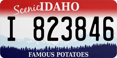 ID license plate I823846