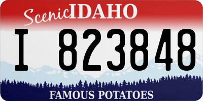 ID license plate I823848