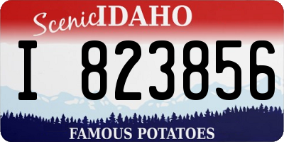 ID license plate I823856