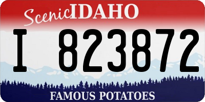 ID license plate I823872