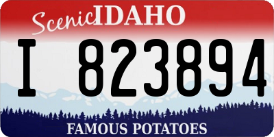 ID license plate I823894