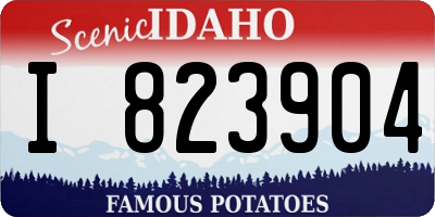 ID license plate I823904
