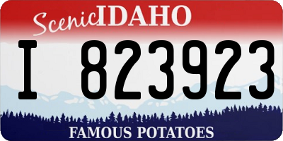 ID license plate I823923