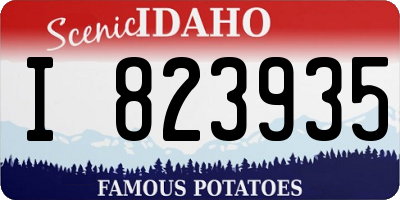 ID license plate I823935