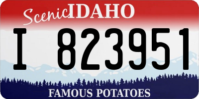 ID license plate I823951
