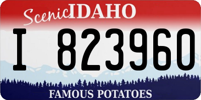 ID license plate I823960