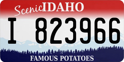 ID license plate I823966