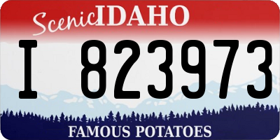 ID license plate I823973