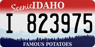 ID license plate I823975