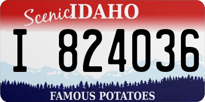 ID license plate I824036