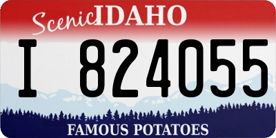 ID license plate I824055