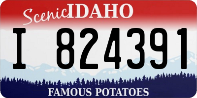 ID license plate I824391