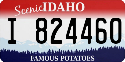 ID license plate I824460