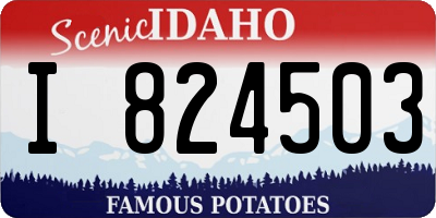 ID license plate I824503
