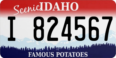 ID license plate I824567