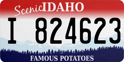 ID license plate I824623