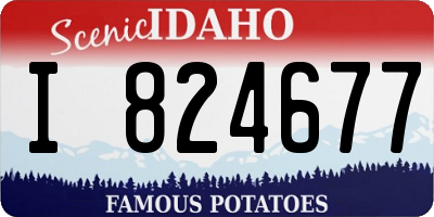 ID license plate I824677
