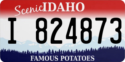 ID license plate I824873
