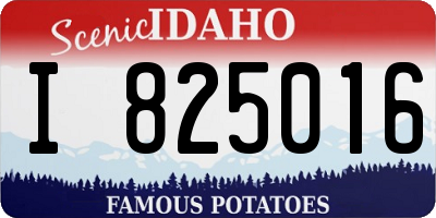 ID license plate I825016