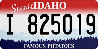 ID license plate I825019