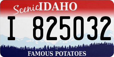 ID license plate I825032