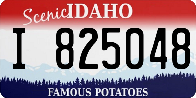 ID license plate I825048
