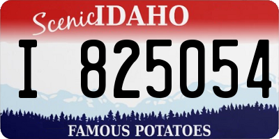 ID license plate I825054