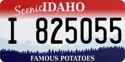 ID license plate I825055
