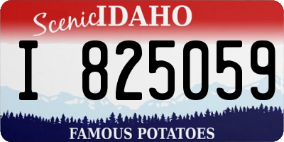 ID license plate I825059