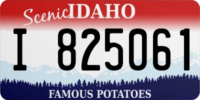 ID license plate I825061