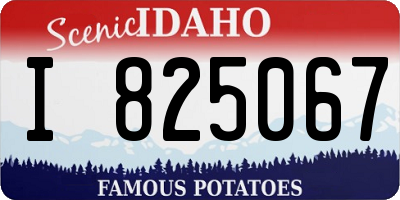 ID license plate I825067