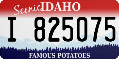 ID license plate I825075