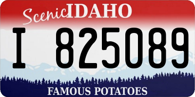 ID license plate I825089