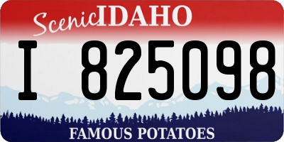 ID license plate I825098
