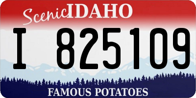ID license plate I825109