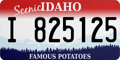 ID license plate I825125