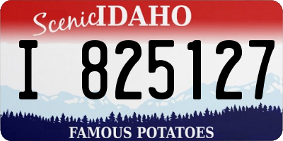 ID license plate I825127