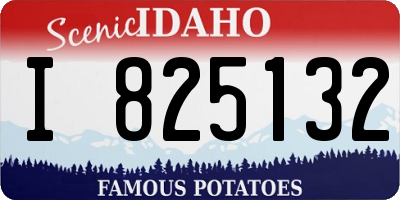 ID license plate I825132