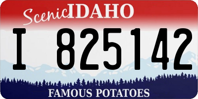 ID license plate I825142