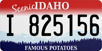 ID license plate I825156