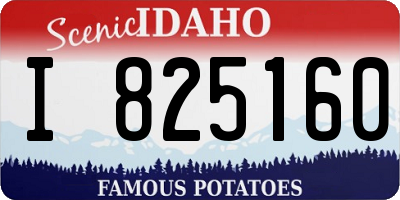 ID license plate I825160