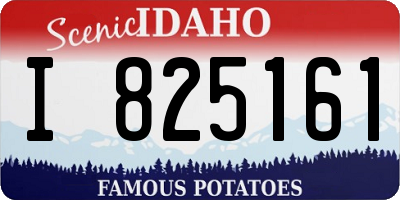 ID license plate I825161