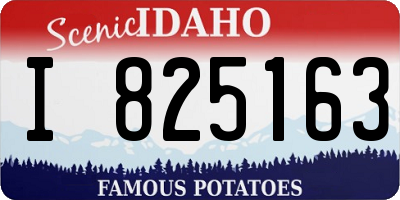 ID license plate I825163