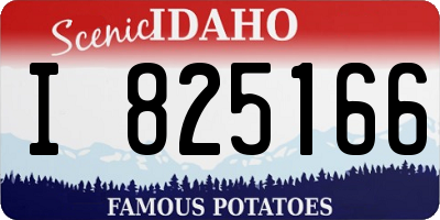 ID license plate I825166