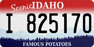 ID license plate I825170