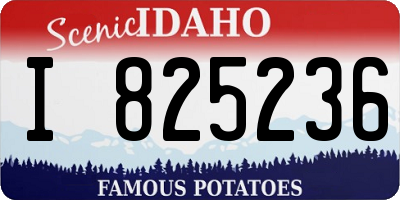 ID license plate I825236
