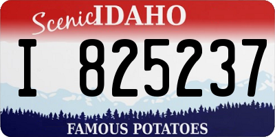 ID license plate I825237