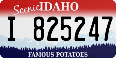 ID license plate I825247